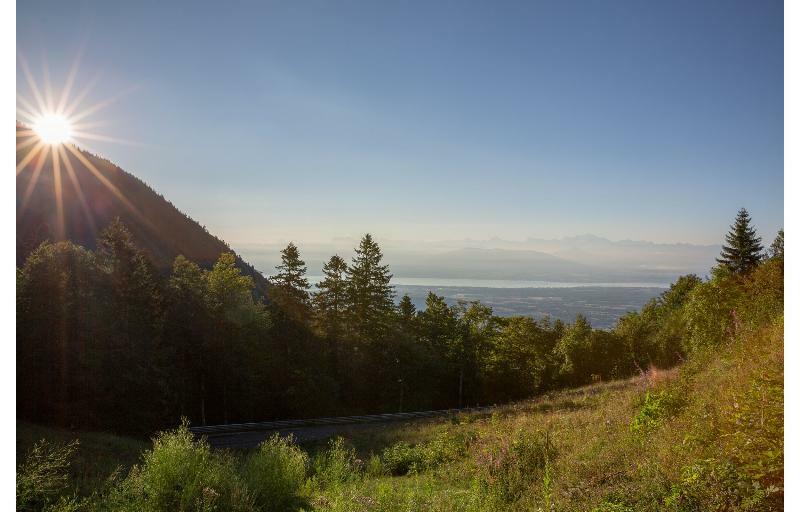 Hotel Chalet-hotel La Chemenaz 4*
